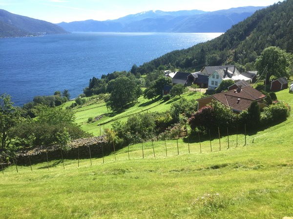 sylvarnes---vik-i-sogn---foto-mons-kvamme